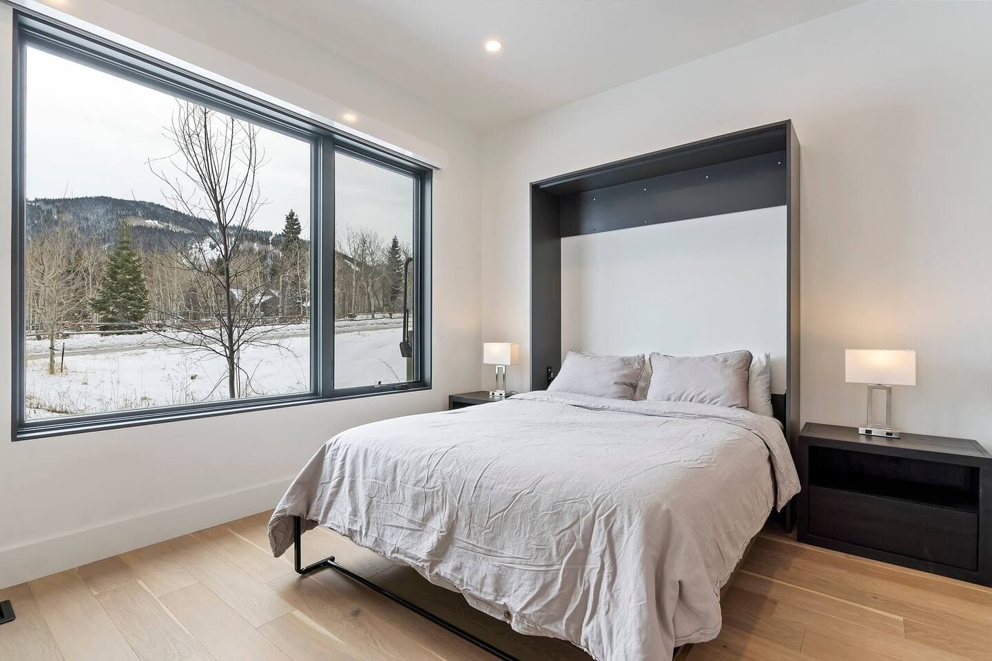 Queen size murphy bed.